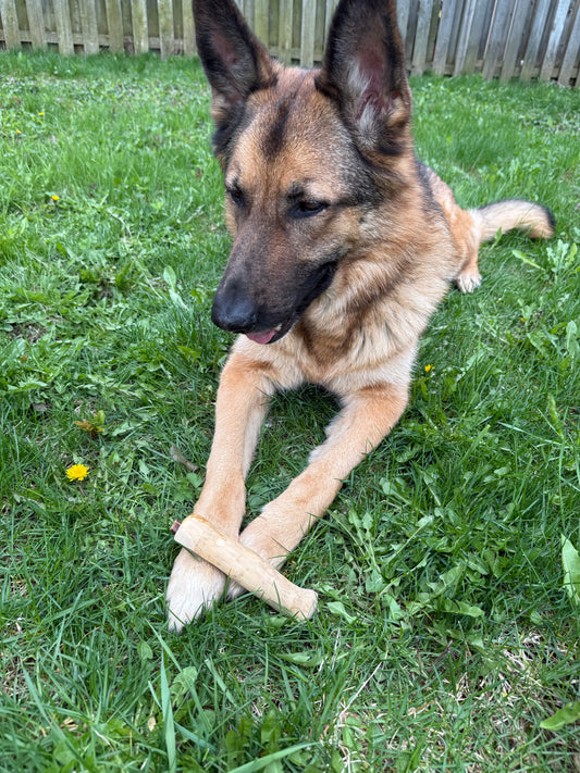 Small 6-7 Inches - Bully Stick X Coffee Wood